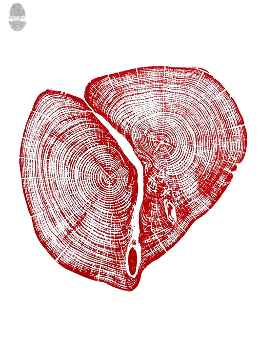 Texas Cedar - Print
