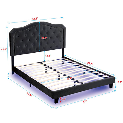 Queen Upholstered Bed Button Tufted with Curve Design