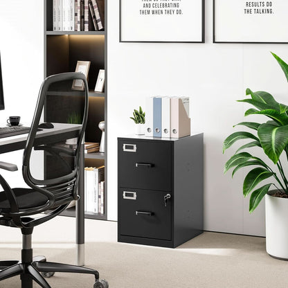 Vertical File Cabinet, 2 drawer