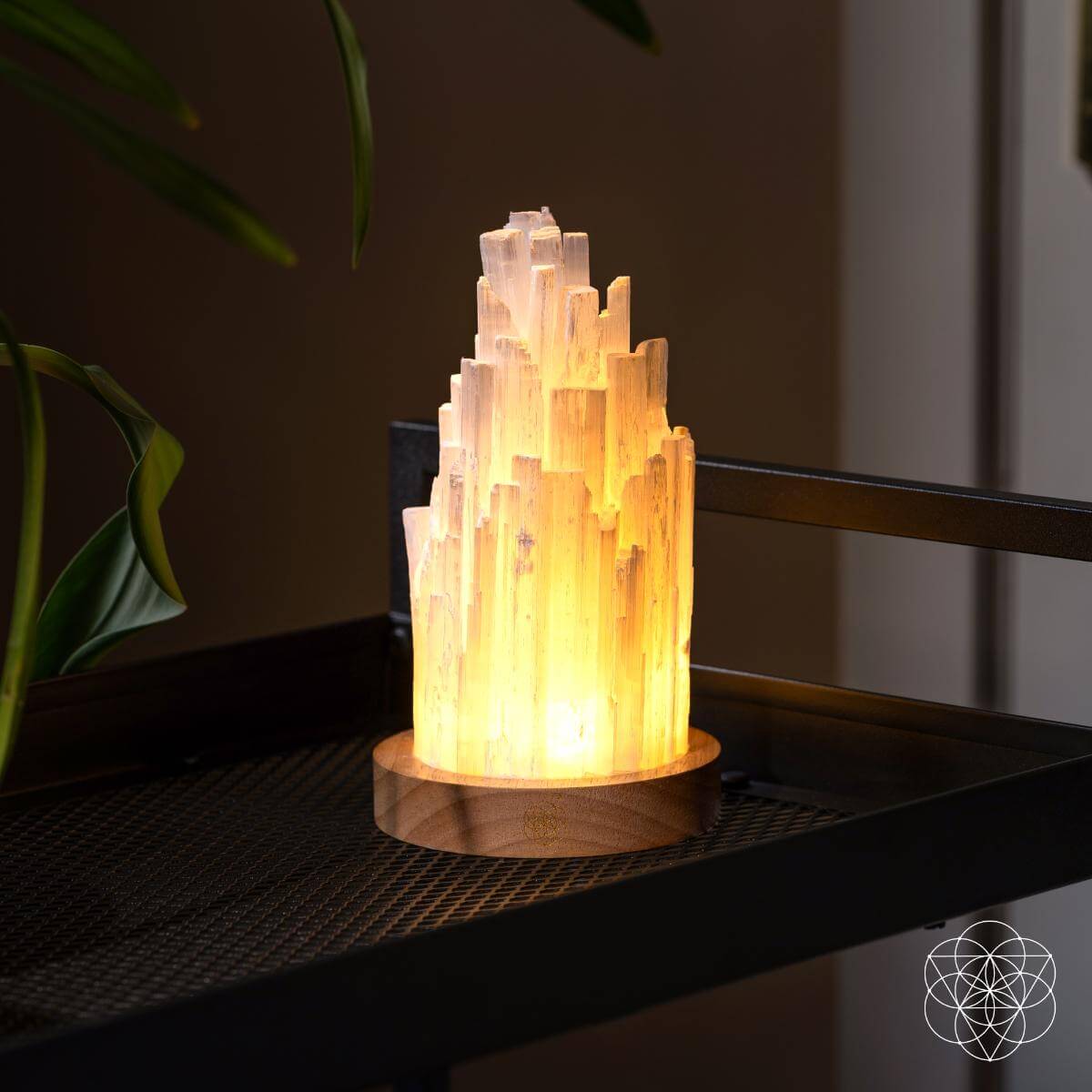 The Cleanse-Selenite Lamp - Healing